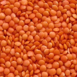 دال عدس
