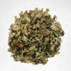 بادرنجبویه